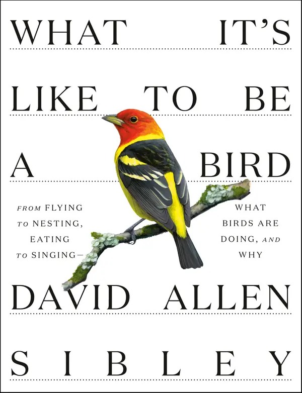 What It's Like to Be a Bird by David Allen Sibley cover