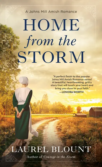 Home from the Storm book cover