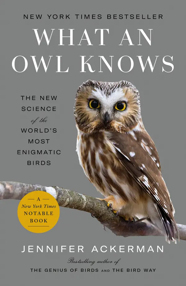 What an Owl Knows by Jennifer Ackerman cover