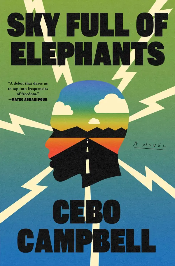 Sky Full of Elephants by Cebo Campbell cover
