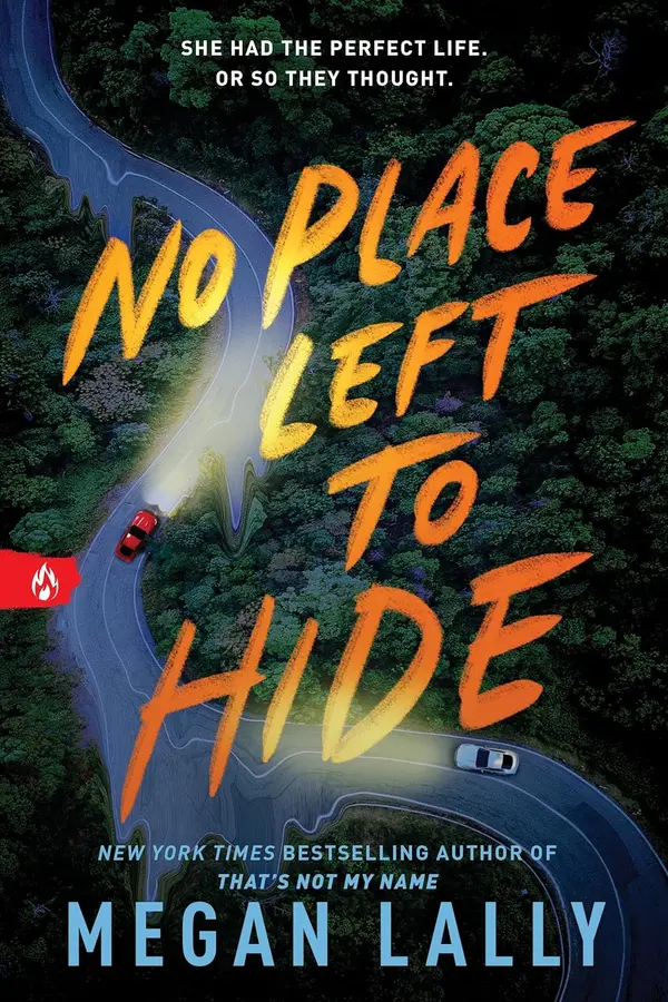 No Place Left To Hide by Megan Lally cover