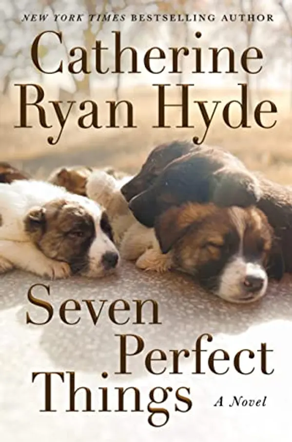 Seven Perfect Things by Catherine Ryan Hyde cover