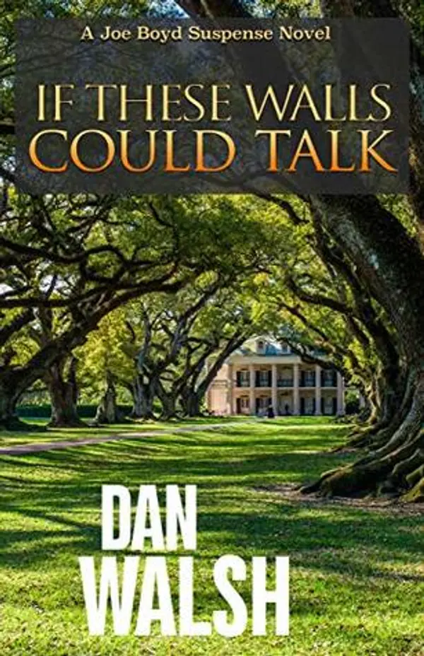 If These Walls Could Talk (Joe Boyd Suspense #1) by Dan Walsh cover