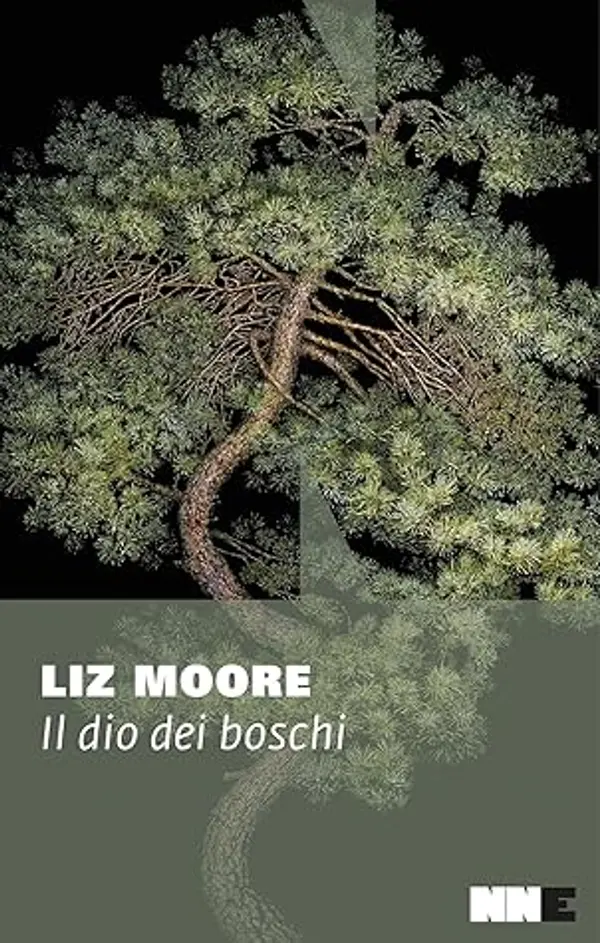 Il Dio dei boschi by Liz    Moore cover