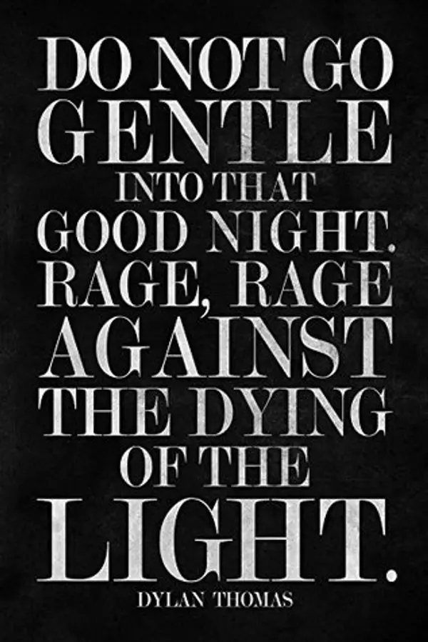 Do Not Go Gentle Into That Good Night by Dylan Thomas cover
