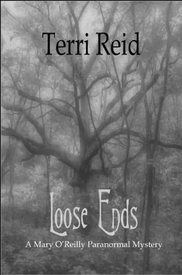 Loose Ends (Mary O’Reilly #1) by Terri Reid cover