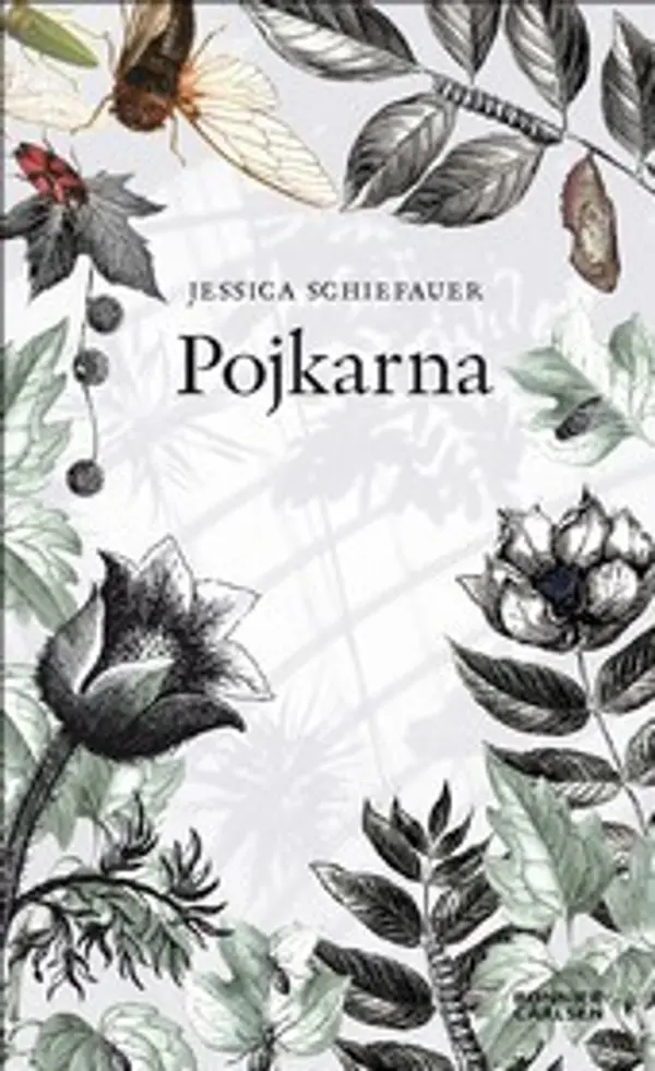 Pojkarna by Jessica Schiefauer cover