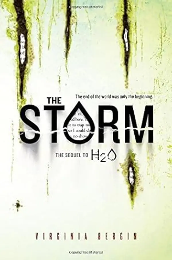 The Storm by Virginia Bergin (2015-10-06) by Virginia Bergin cover