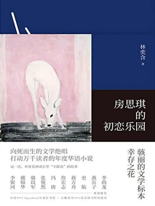 房思琪的初恋乐园 by Lin Yi-Han cover