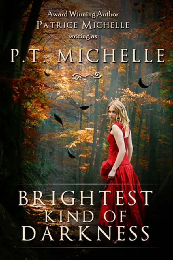 Brightest Kind of Darkness (Brightest Kind of Darkness, #1) by P.T. Michelle cover