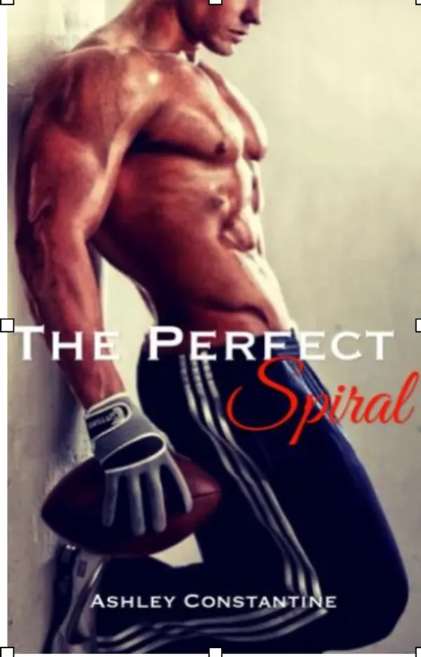 The perfect spiral by Ashley Constantine cover