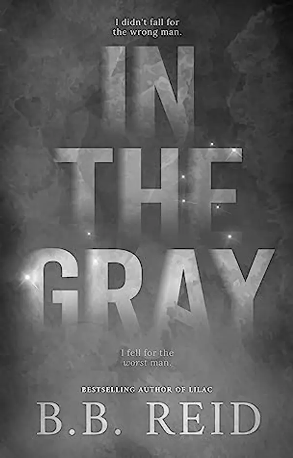In the Gray by B.B. Reid cover