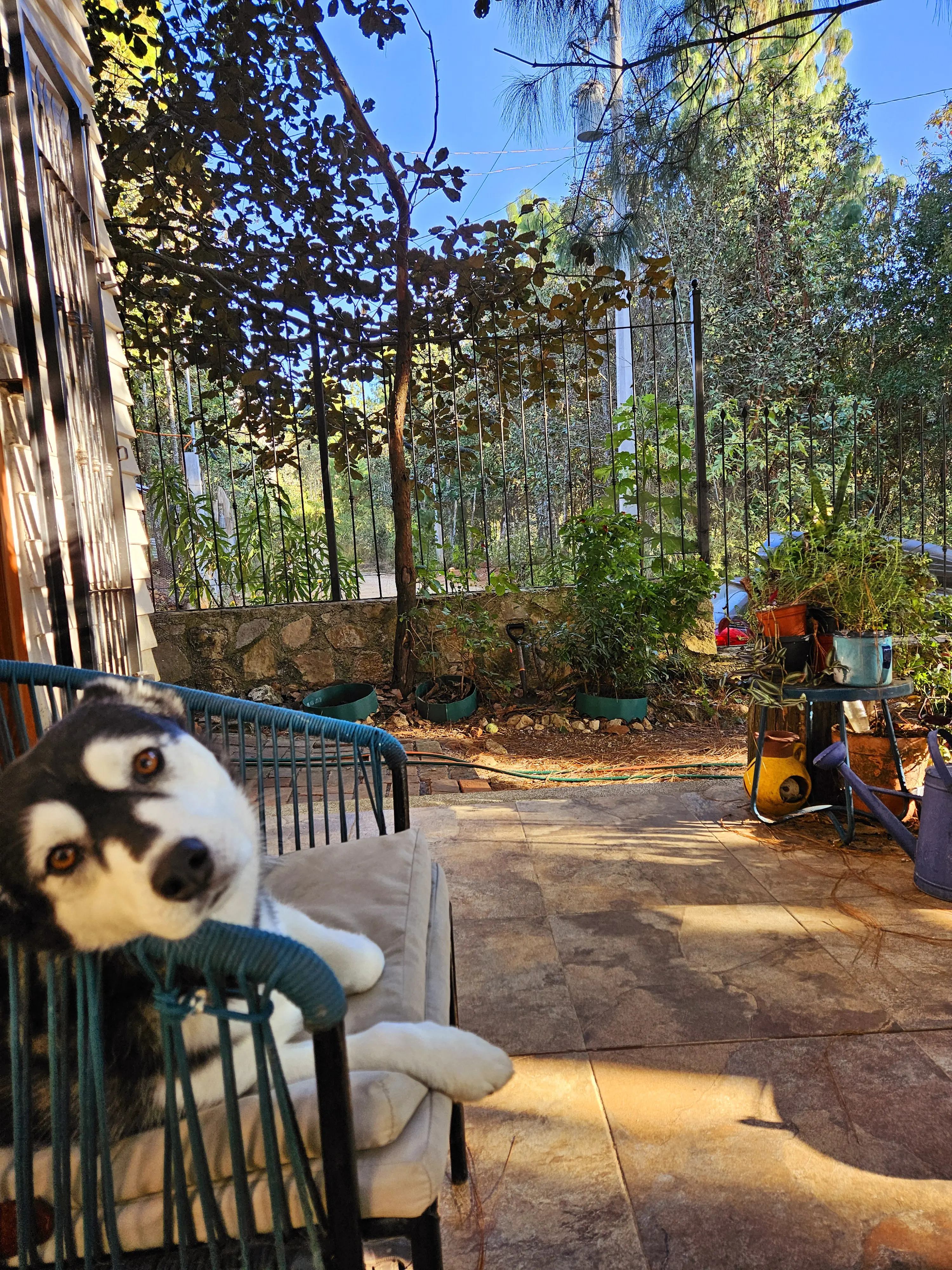 don Bart profile pic