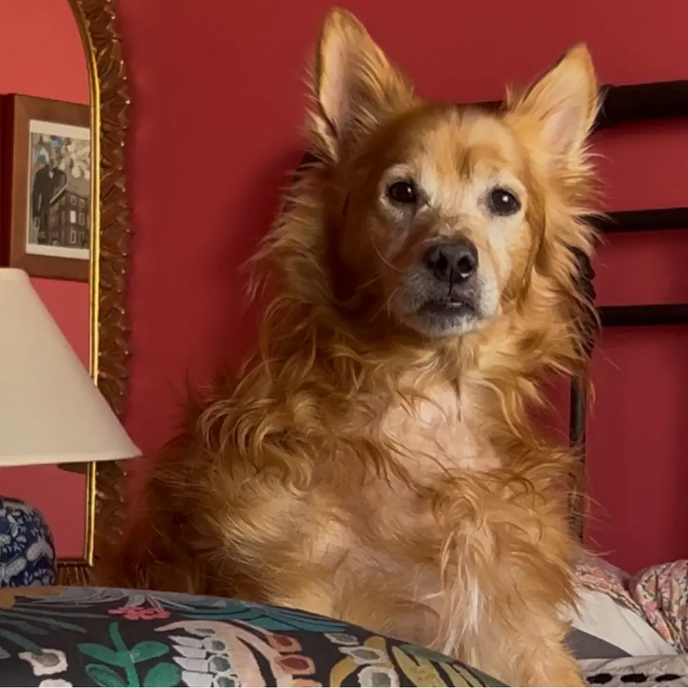 jenrclapp profile pic