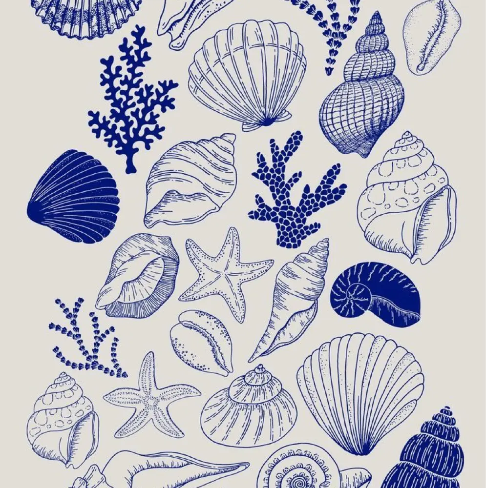 Janche Smit profile pic