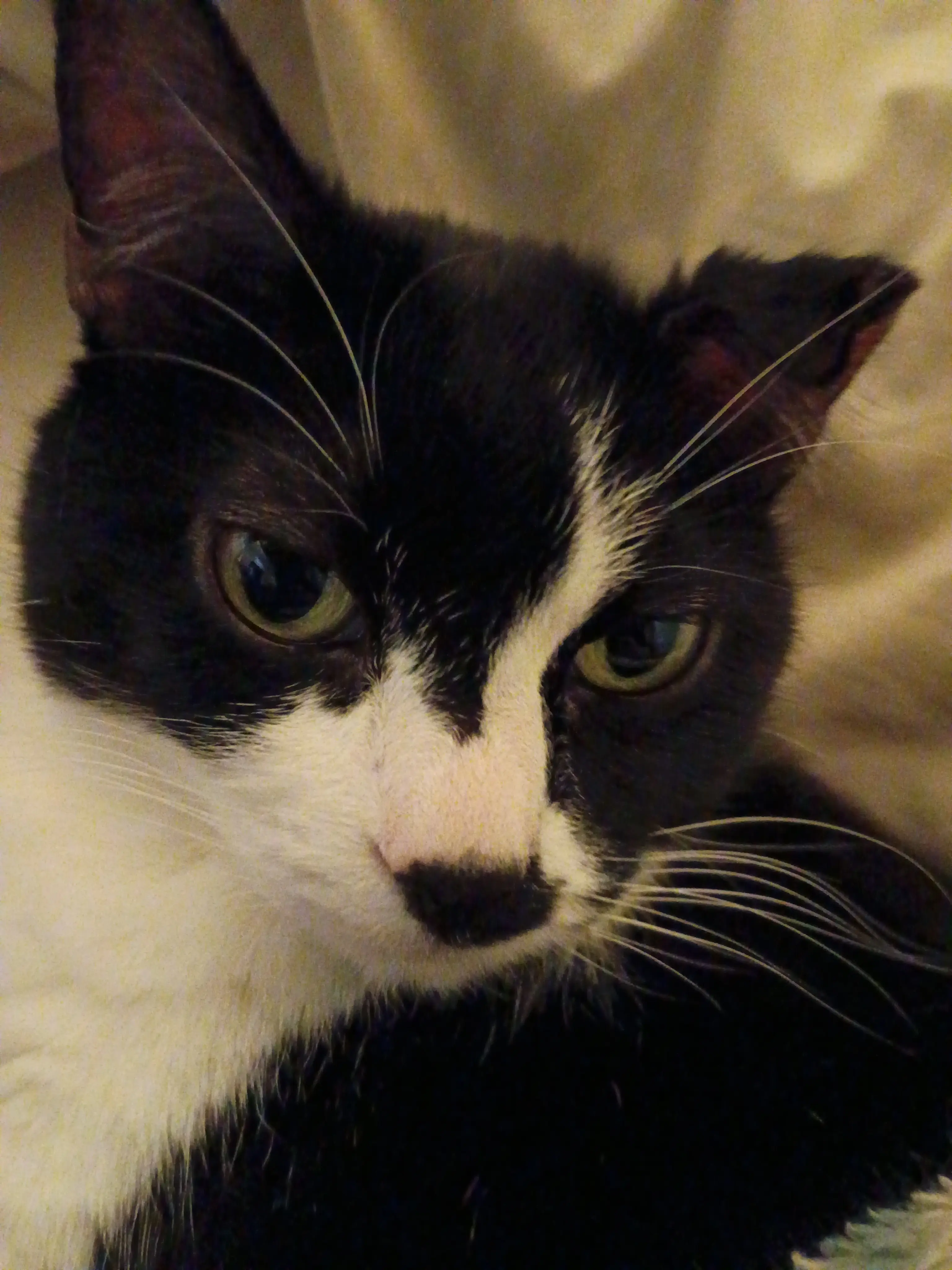 Colleen Rowley profile pic