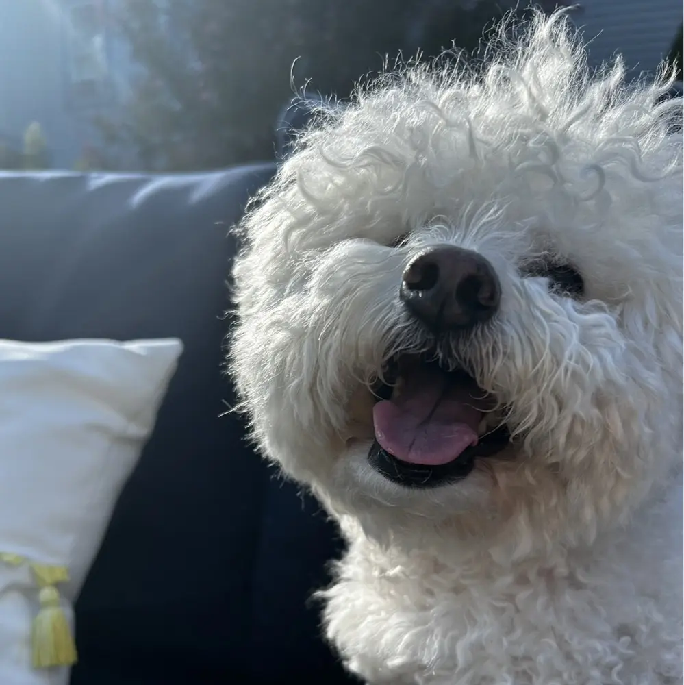 Morgan Phillips profile pic