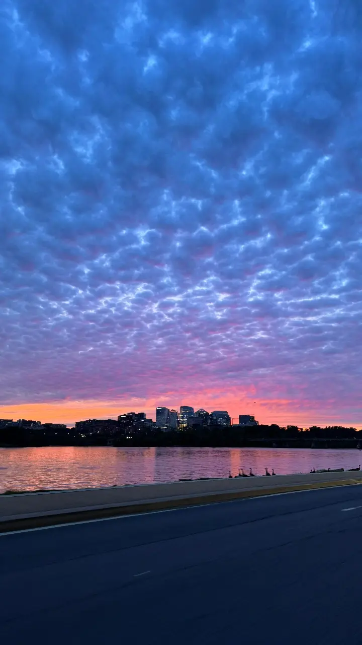 Vico Ortiz profile pic