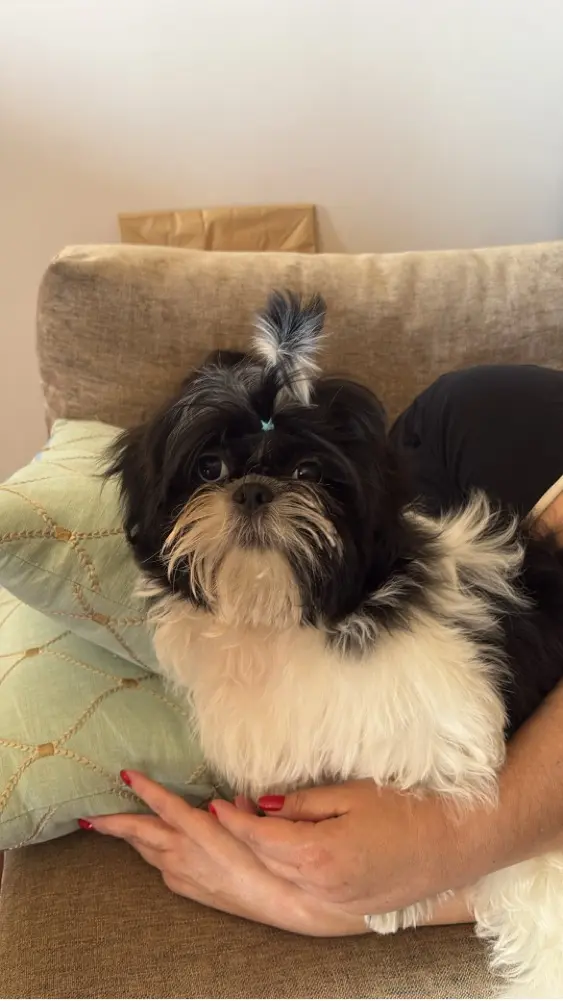 Julia Radames profile pic