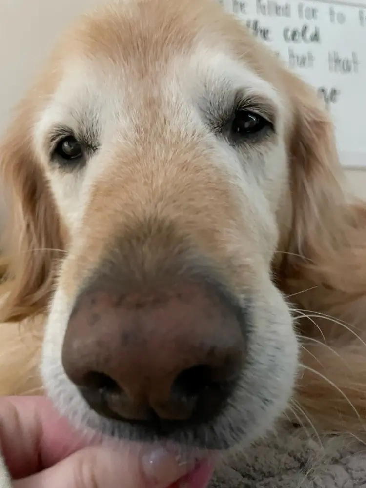 Kaci Bardel profile pic