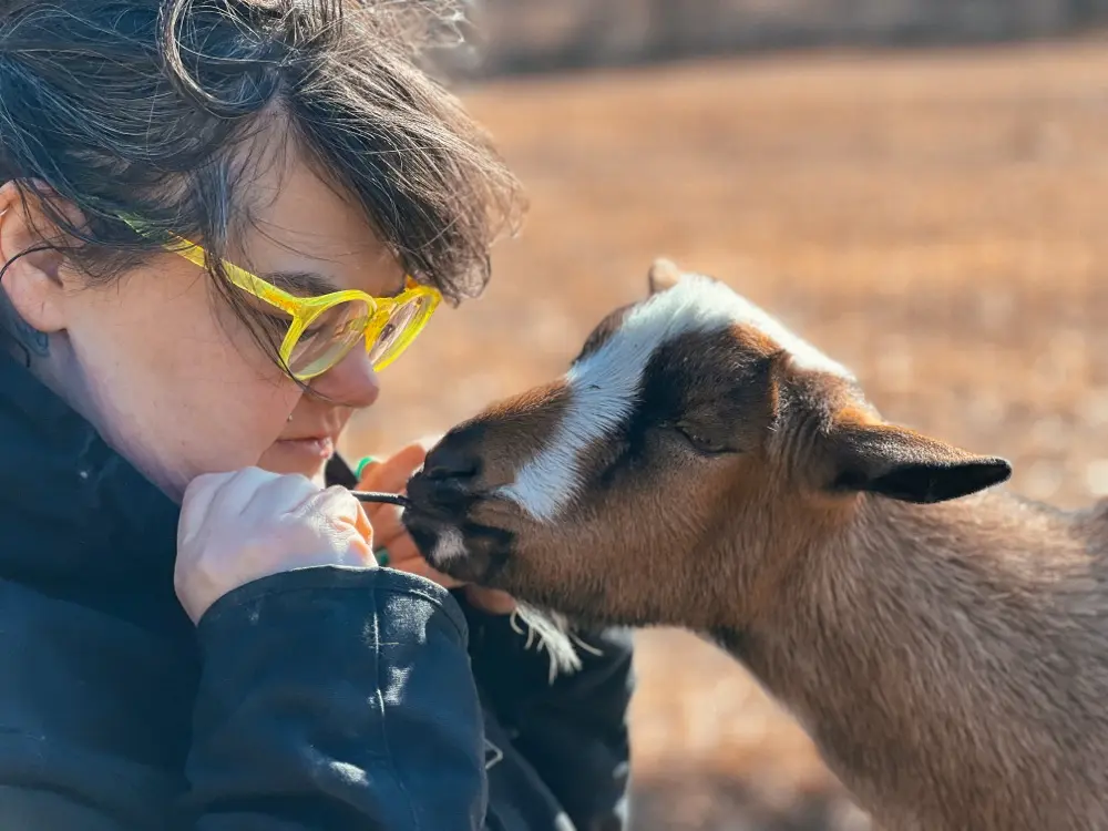 Kergiella profile pic