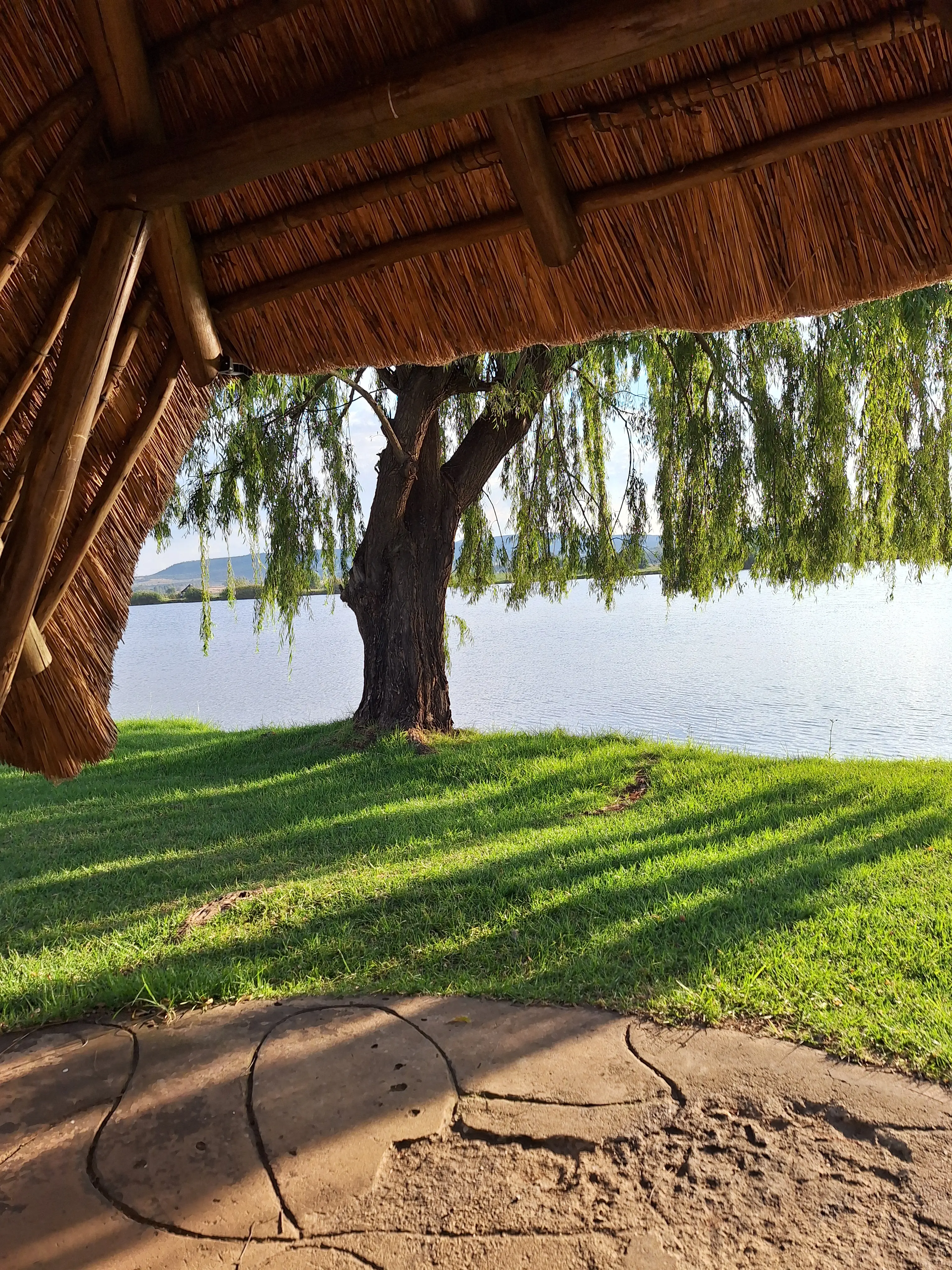 Dante Botes profile pic