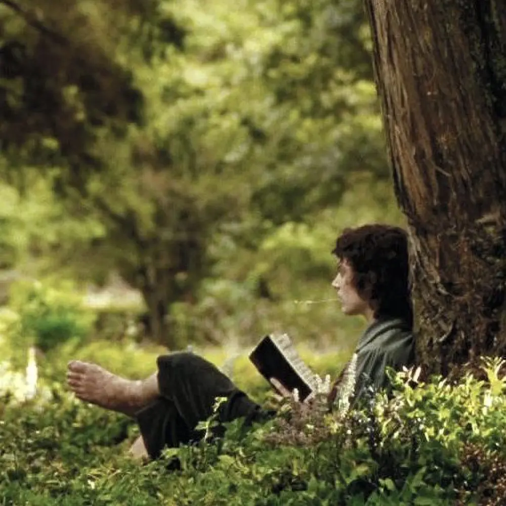 livireads profile pic