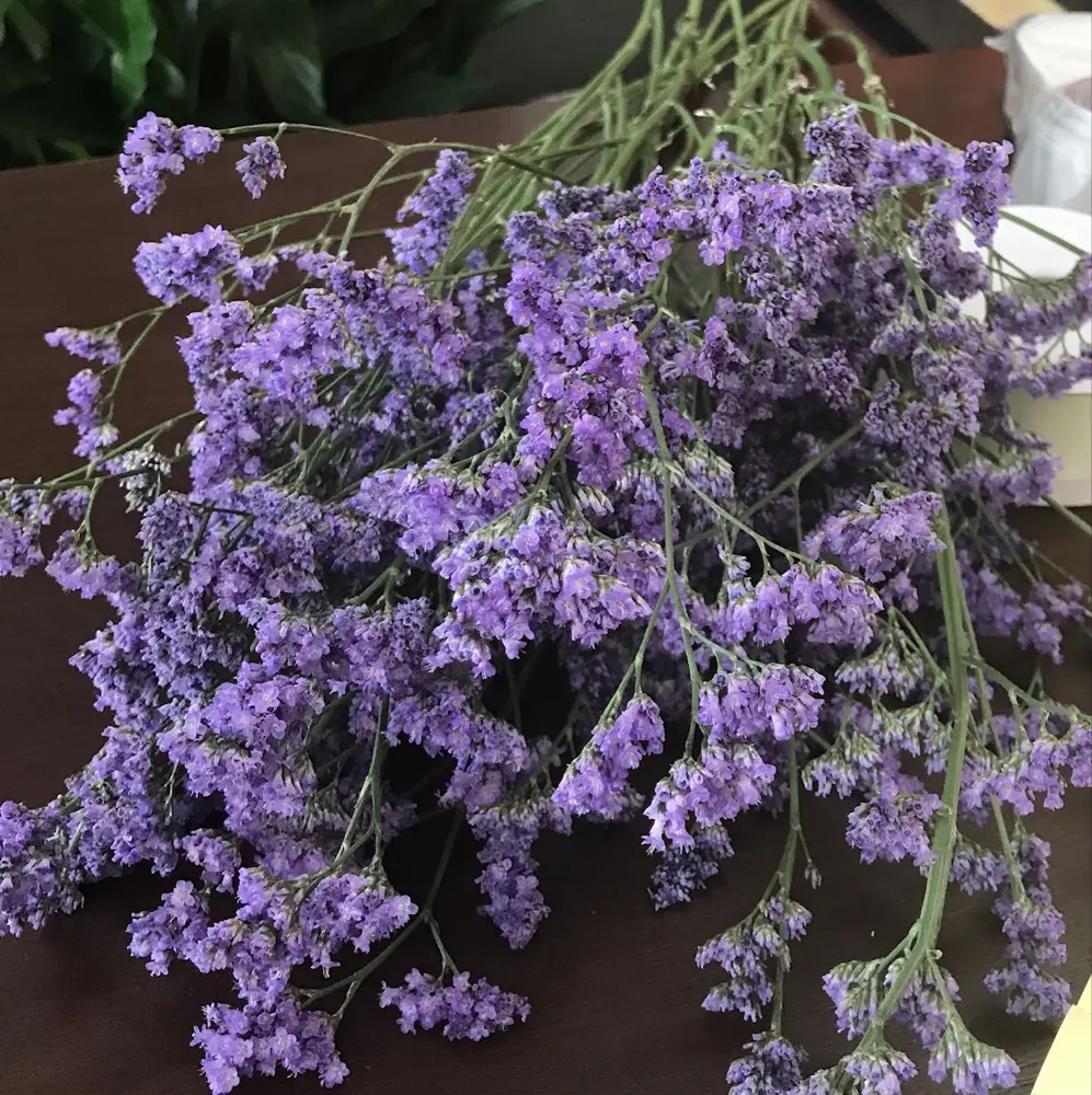 Christine profile pic