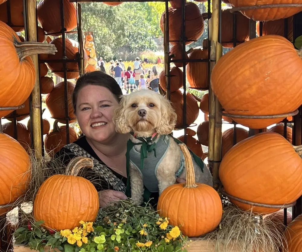 Andreaeell profile pic