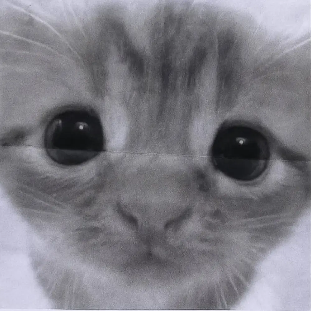 Ariel Roberts profile pic