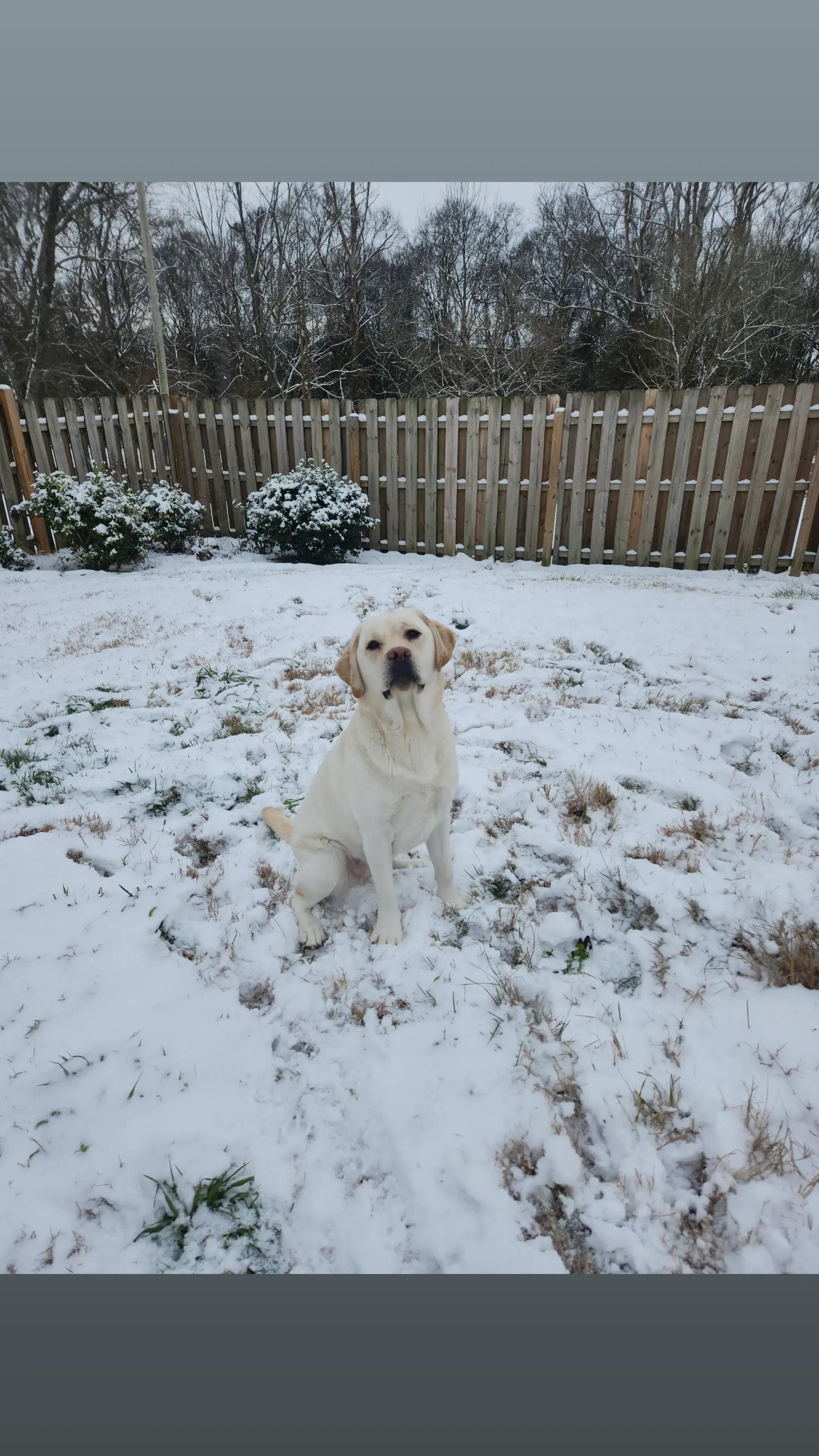 Alexandra Torres profile pic