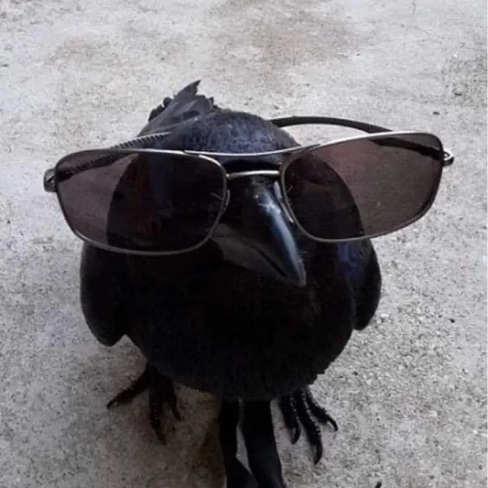 Thomas Hamil profile pic