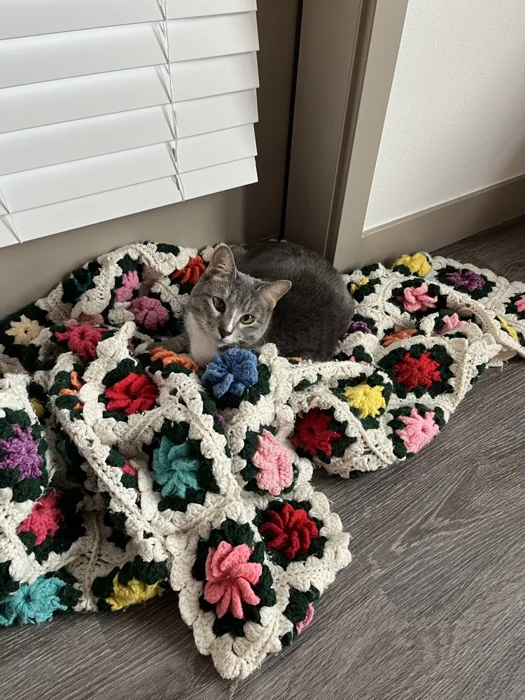 janessa stevinson profile pic