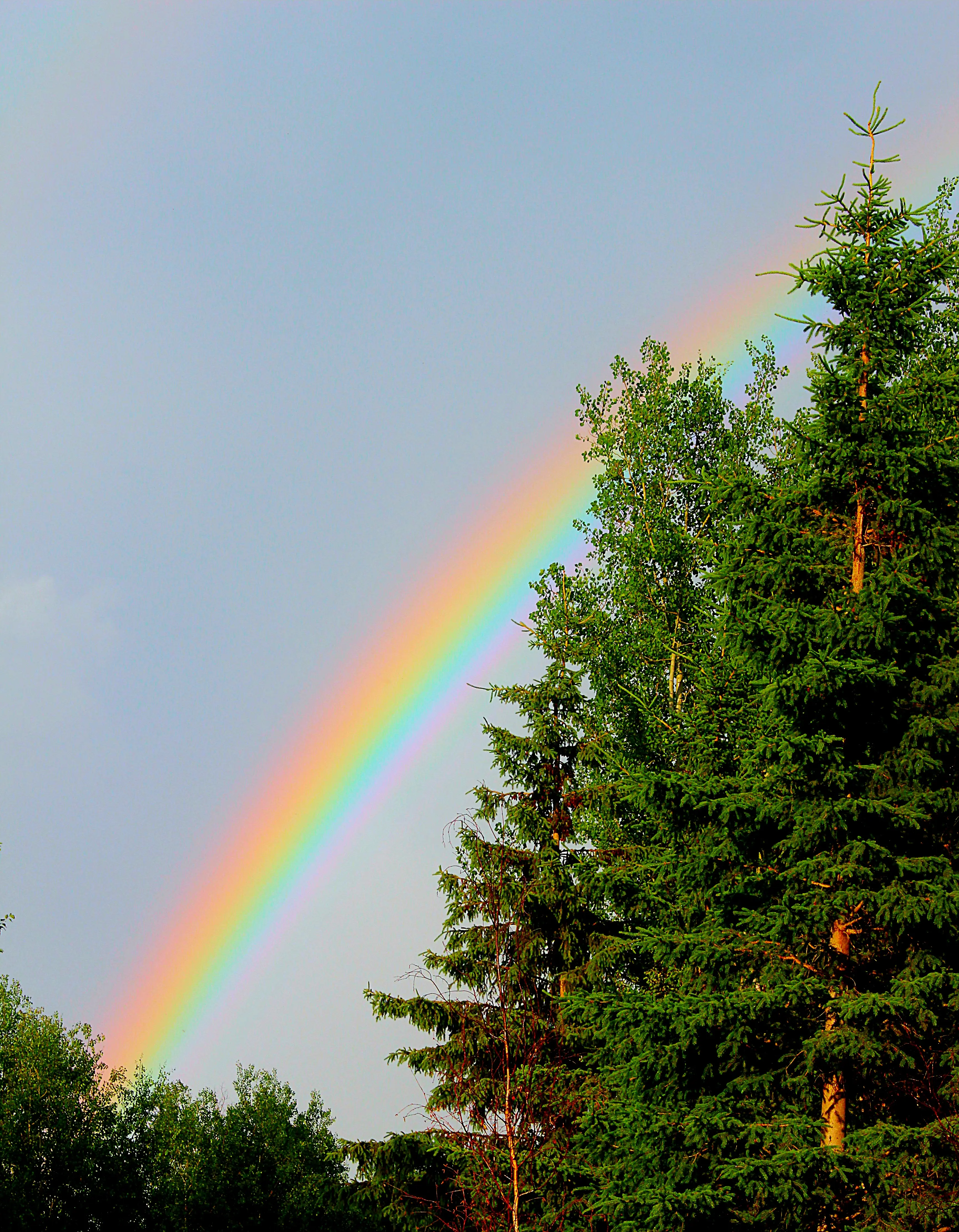 solomiab28 profile pic