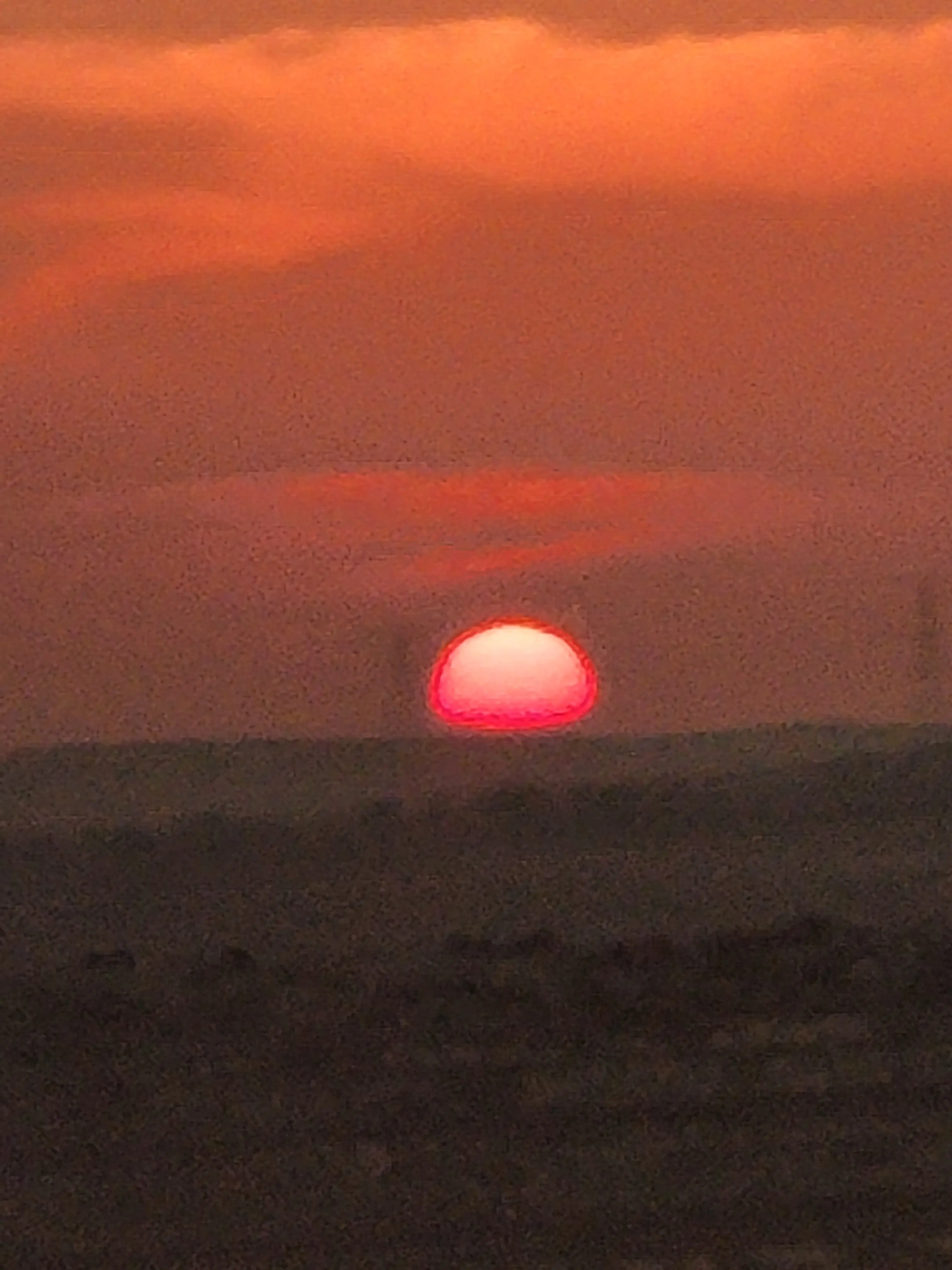 salee.potter profile pic