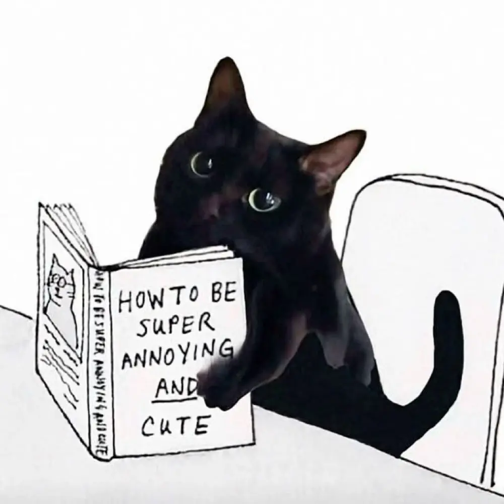 mario chapman profile pic