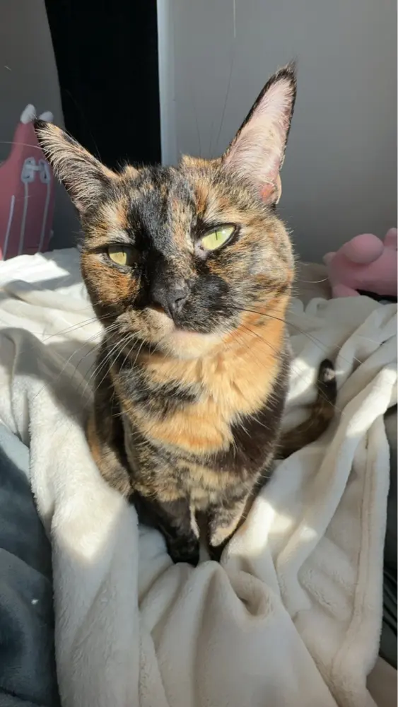 Kkaylaschofield profile pic