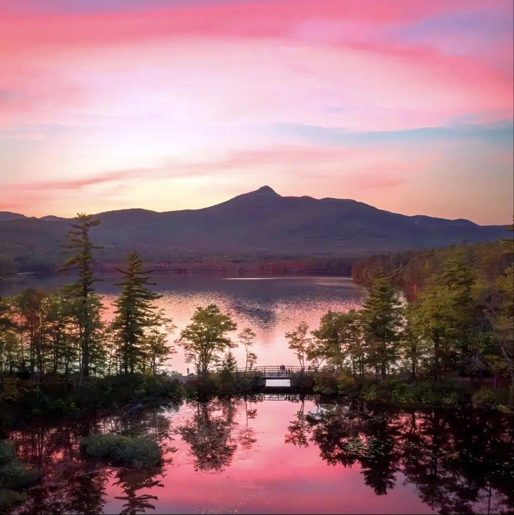 VulpeculiarVox profile pic