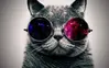 Amanda Duckworth Avatar