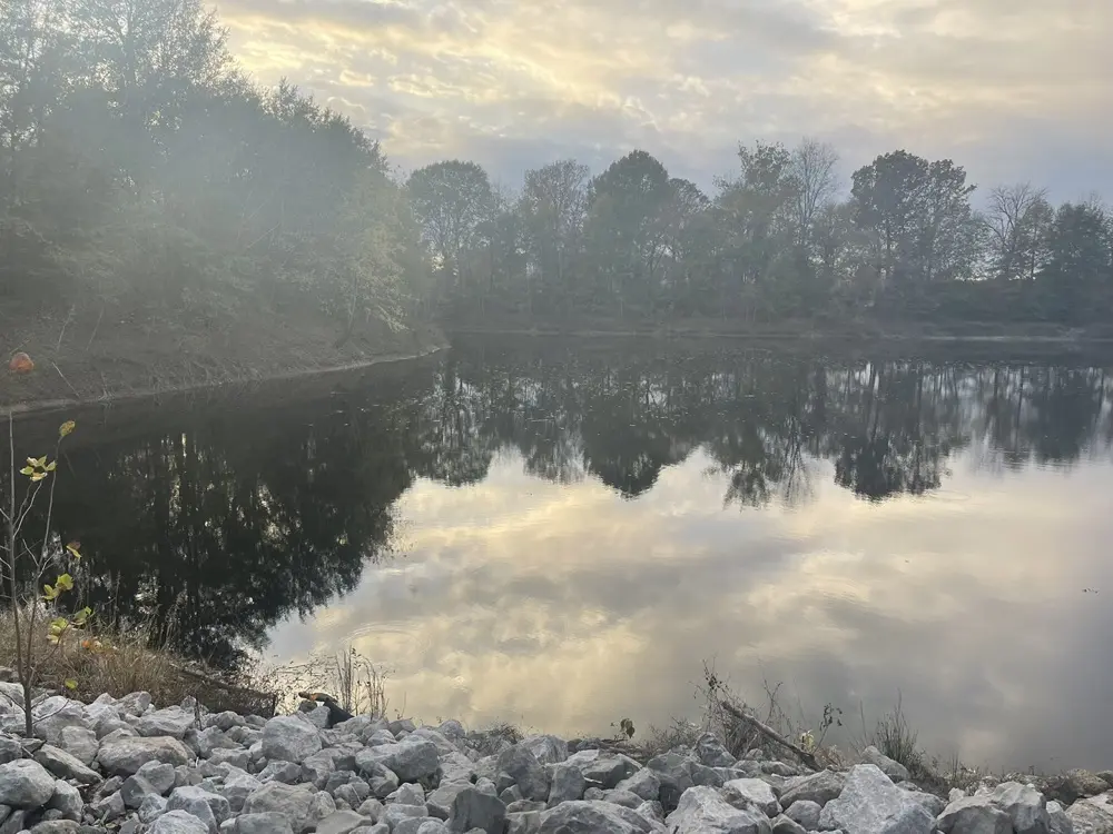 Suki❤️ profile pic