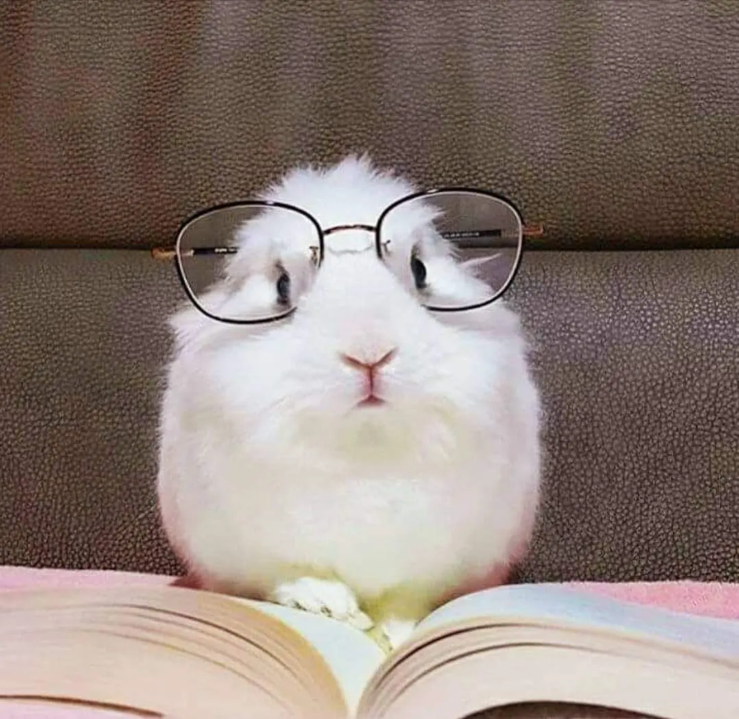 Daniel Cook profile pic