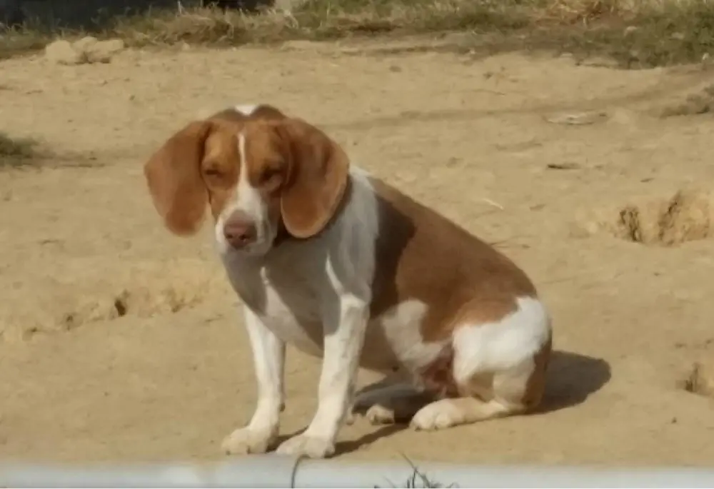 Shane Perry profile pic