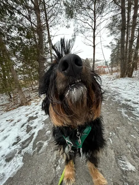 Meagan Nigh profile pic