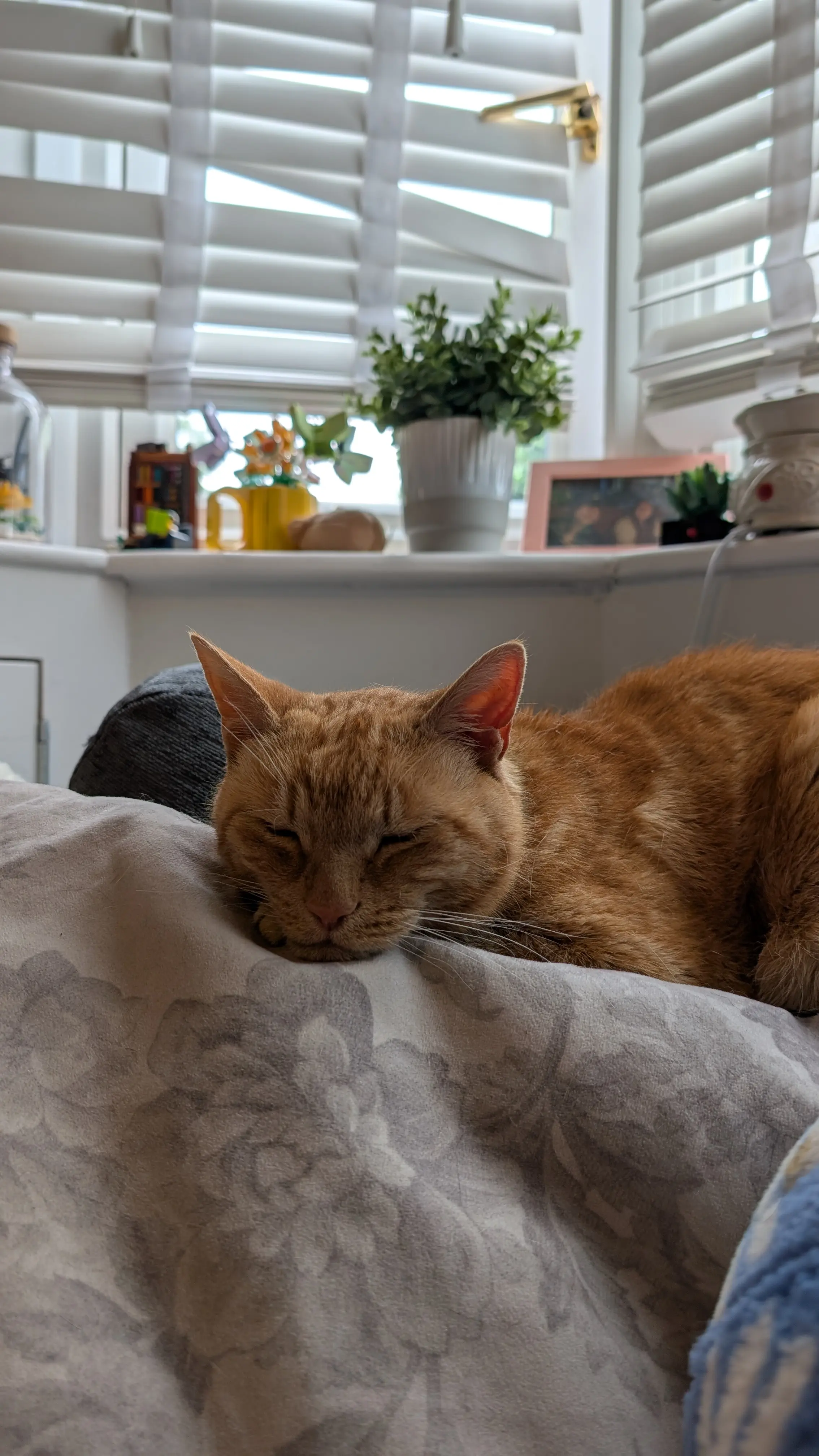 Caitlin R profile pic