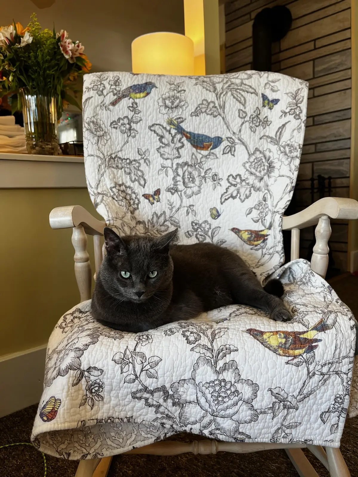 Severin M profile pic