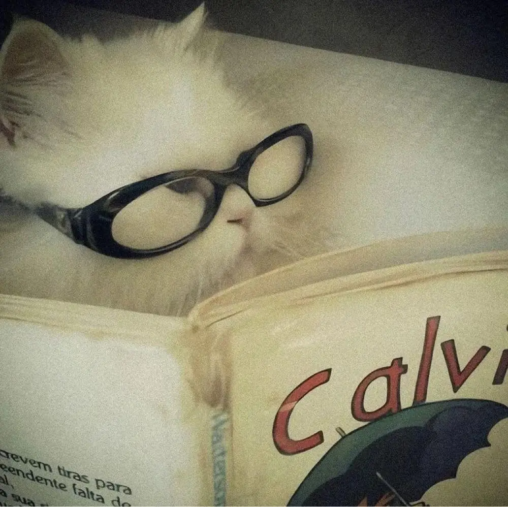 nadia 🧸ྀི profile pic