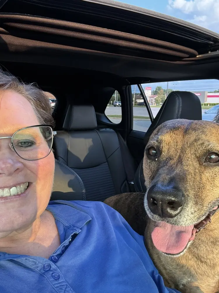 Donna Lee profile pic