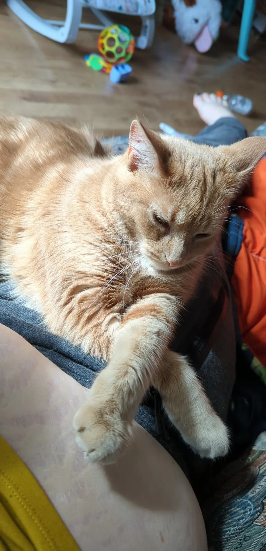 Ameenekosan profile pic