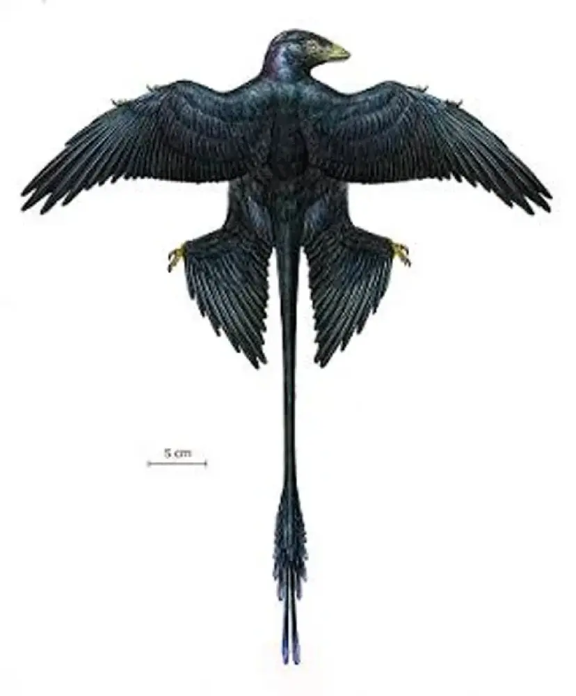 MychaelOpteryx profile pic