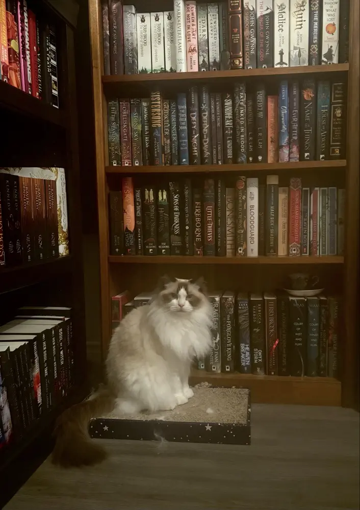 Keyne🇮🇪☘️ profile pic